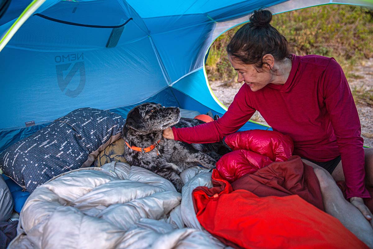 Best tent for 2 2024 adults and a dog